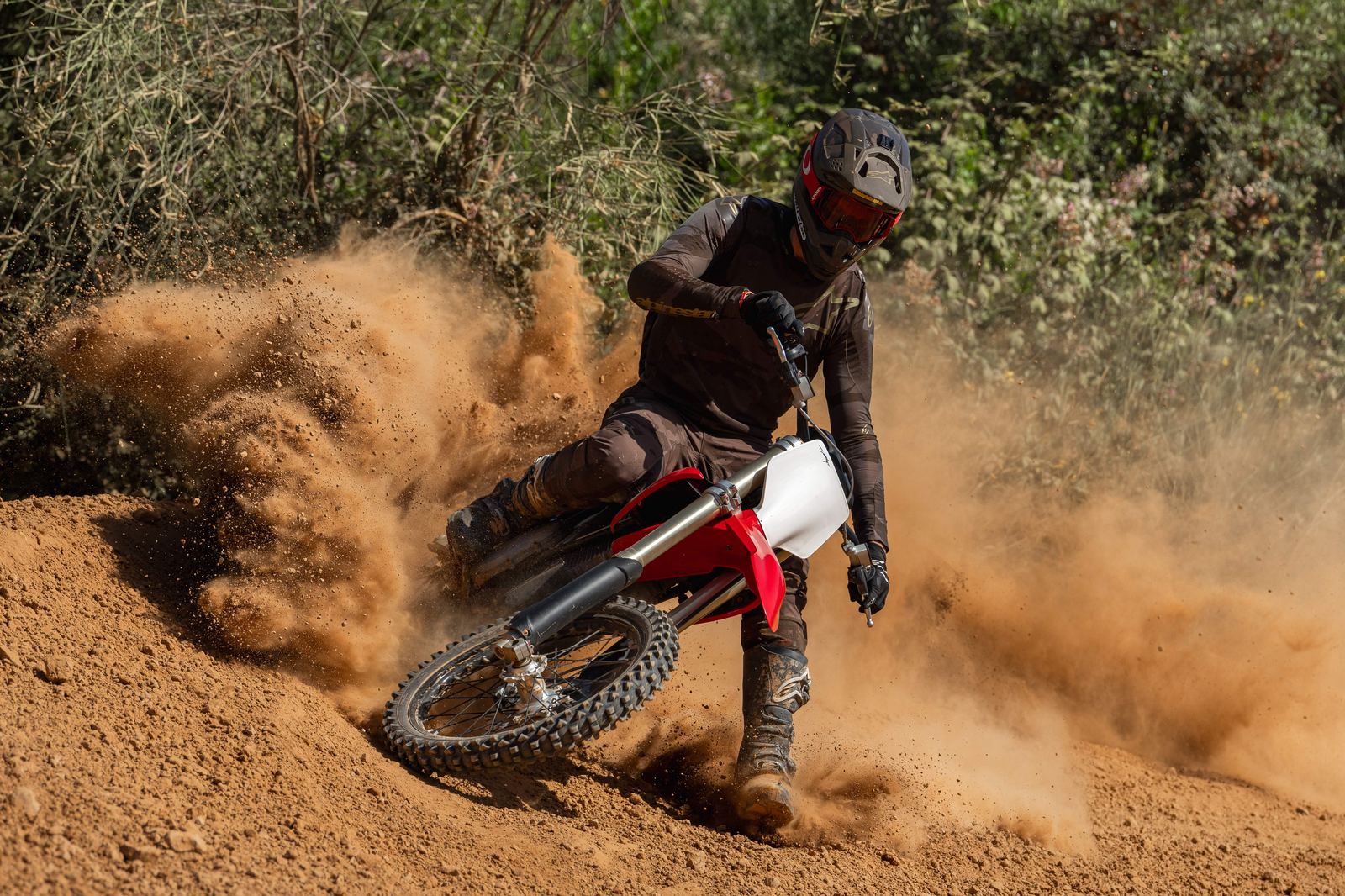 Roost a tutto gas