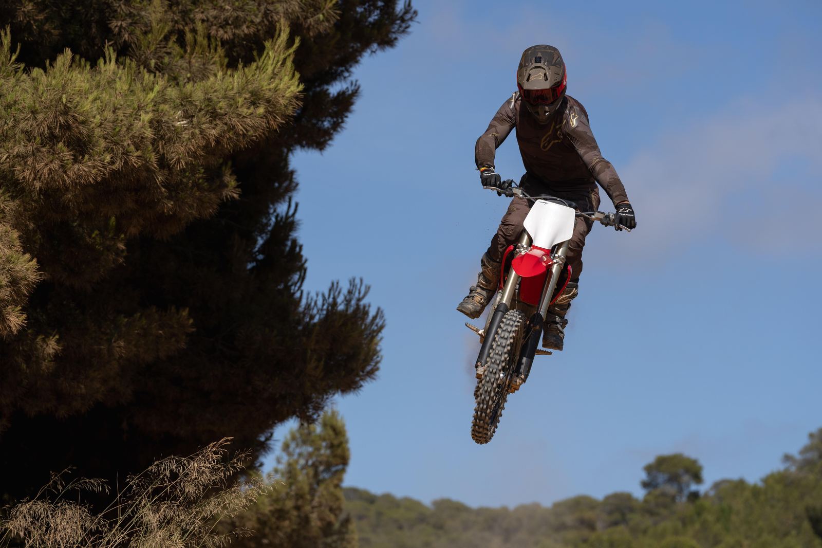 Salto tra gli alberi